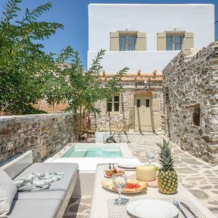 Villa Anthemion Naxos With Outdoor Jacuzzi Ano Sangrion Bagian luar foto