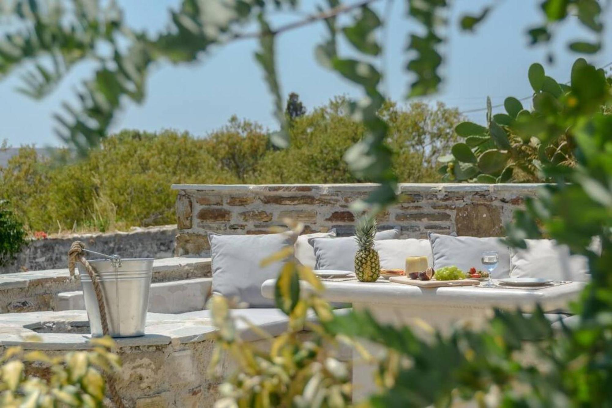 Villa Anthemion Naxos With Outdoor Jacuzzi Ano Sangrion Bagian luar foto